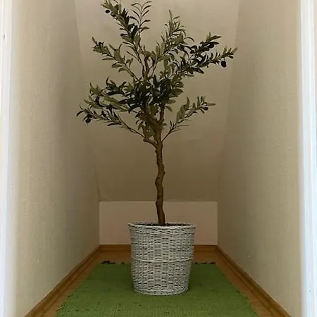 Apartament Casa Oliva *