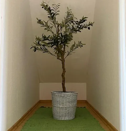 Apartment Casa Oliva *